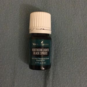 Northern lights black spruce